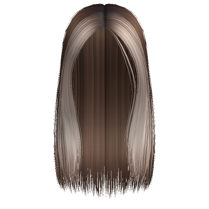 Sleek Two Tone Middle Part In Brown Blonde Roblox