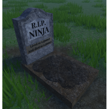 Ninja's Funeral [REMAKE]