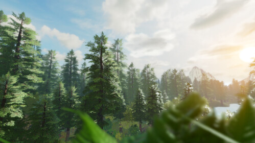 Roblox - Gerçekçi Orman Demo'su - Roblox