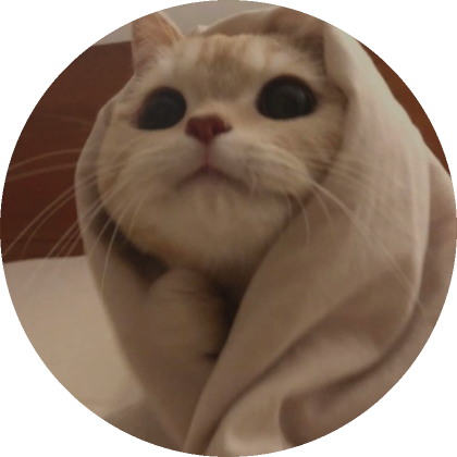 Roblox Item Blanket Cat PFP