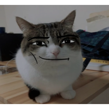 cat (profile picture) | Roblox Item - Rolimon's