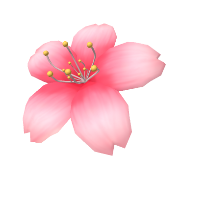 Cherry Blossom Pink | Roblox Item - Rolimon's