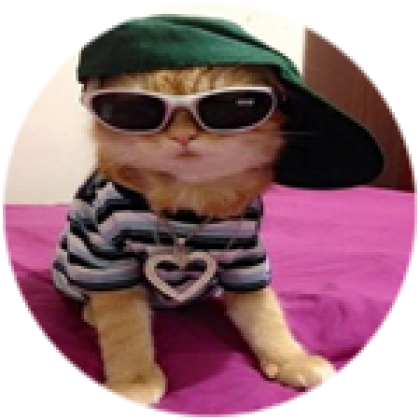 swaggy cat pfp - Roblox