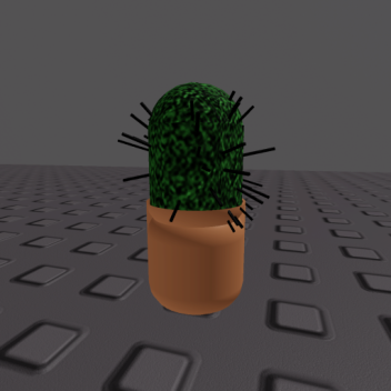 Face Cactus Remake