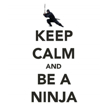 (Updates!) Be a Ninja!