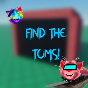 Find The Toms! (16)