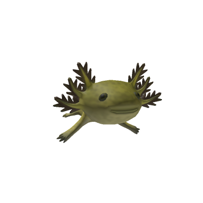 Enigma Axolotl (R) | Roblox Item - Rolimon's
