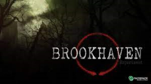 Running Scared in Brookhaven #Roblox #Brookhaven #Gaming