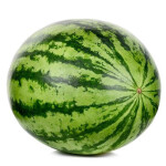 Melon Inc. Hq