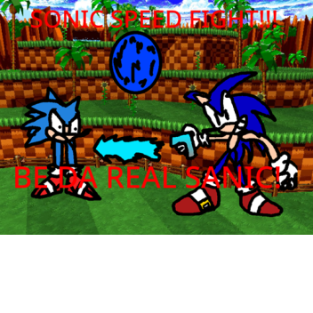Sonic Speed Fight!!