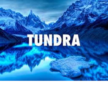 Tundra Capture The Flag