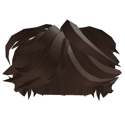 Brown Hair  Roblox Item - Rolimon's