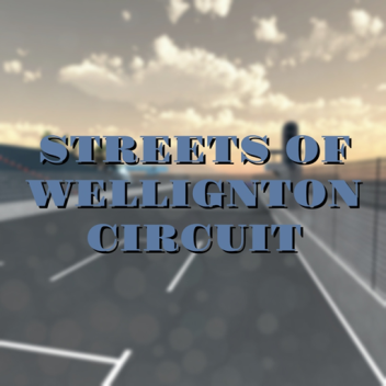 Wellington Street Circuit