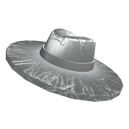 Roblox Item Silver Wide Brim Hat
