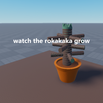 watch a rokakaka plant grow