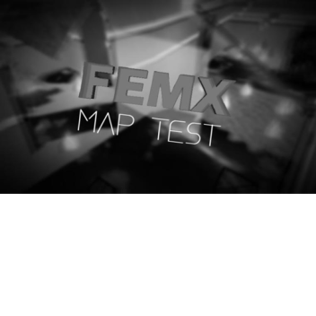 FEMX Map Test