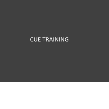 CUE Training Center