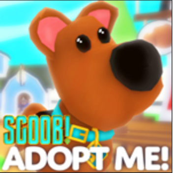 Obby For Adopt Me Pets!