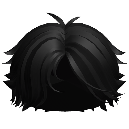 Black Scruffy Boy Hair  Roblox Item - Rolimon's