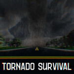 Tornado Survival 🌪