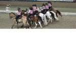 The Star Riders Team