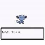 Pokemon Advanced