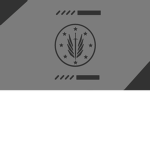 [AAF] Special Operations Command
