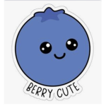 blueberry’s grew1