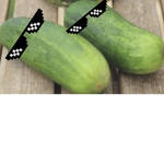 Pickle Groups