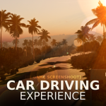 Car Driving Experience