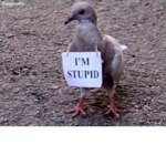 +.*g u r l s ~ n i g h t*.+