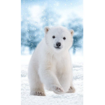 ~Polar Bear~