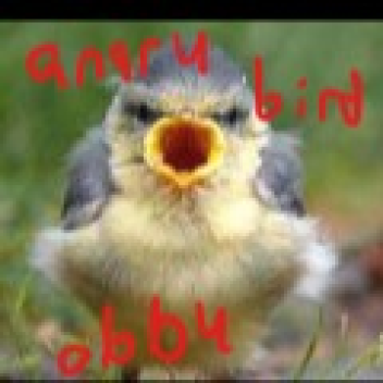 anger bird obby