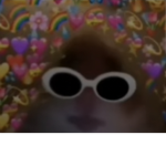 Die Hamster