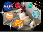 Adopt me kit sune