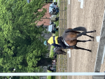 Hill top riding school