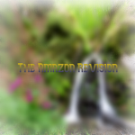 The Amazon Revision.