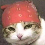 la citer de roblox