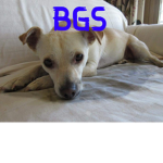 the BGS creation friends group