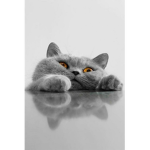 DesiredNiffy