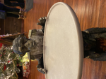 Turtle team 247
