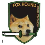 Doge United military personnel