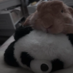 Bunnymaxxing