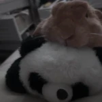 Bunnymaxxing Group Thumbnail