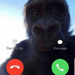monkie