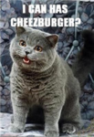 Cheese burger clan