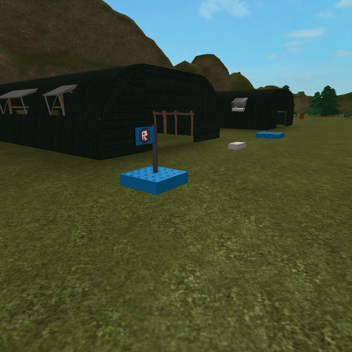 Capture the flag 
