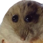 Kramprus