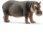Hippopotamus Group