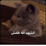 تعرف ليش رجل رجولي لانه يشبه رجولي